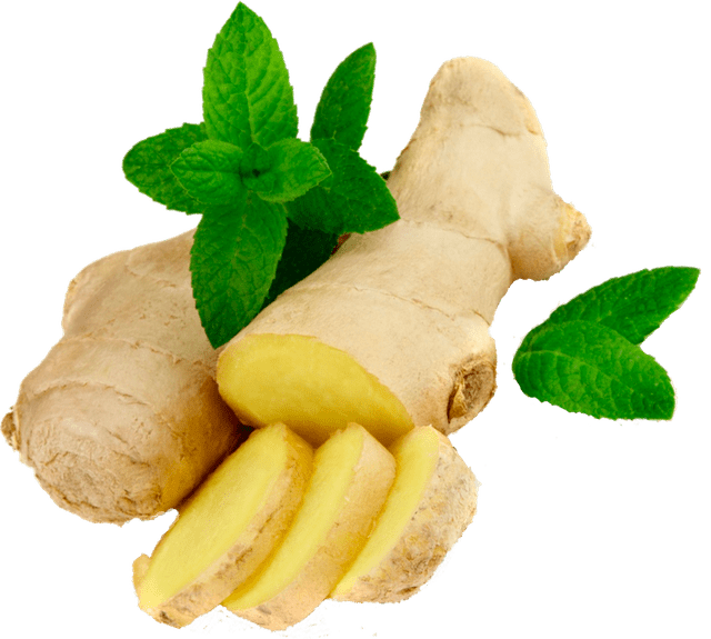 Foods To Boost the Immune System